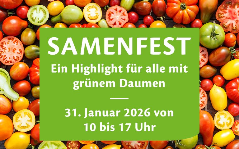SamenFest