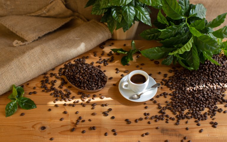 Kaffee